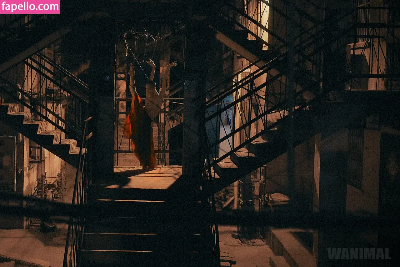 Wanimal Models Onlyfans Photo Gallery 