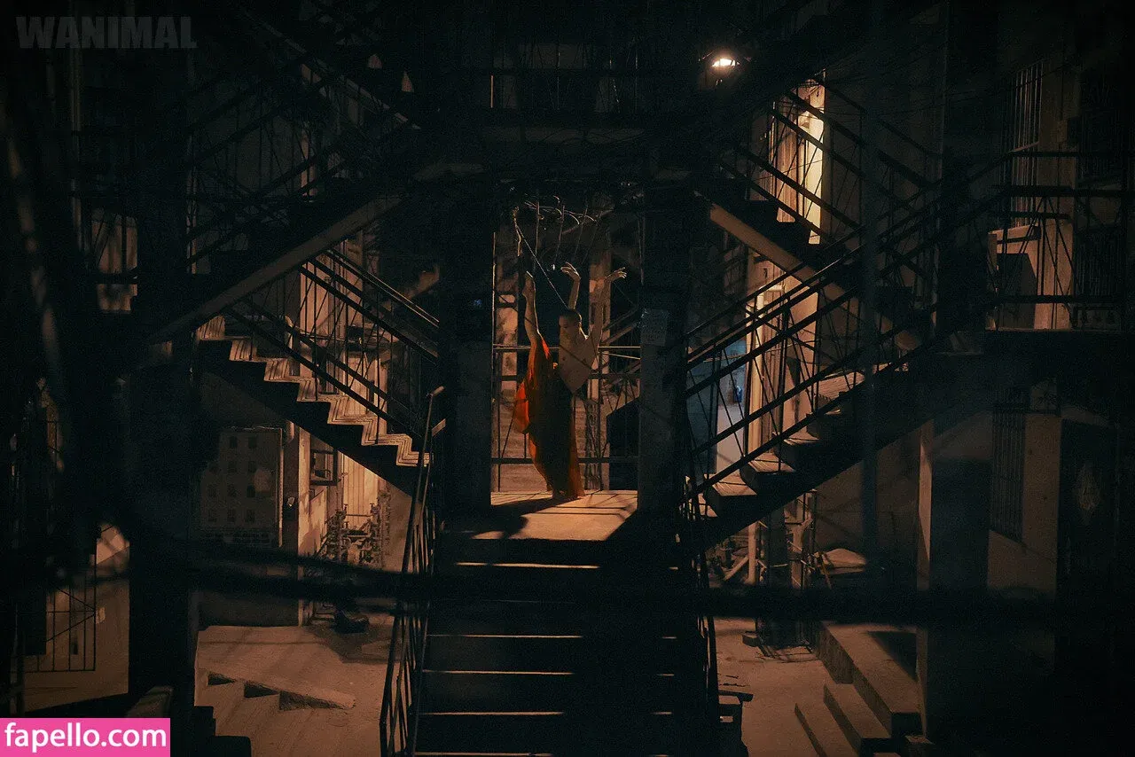 Wanimal Models Onlyfans Photo Gallery 