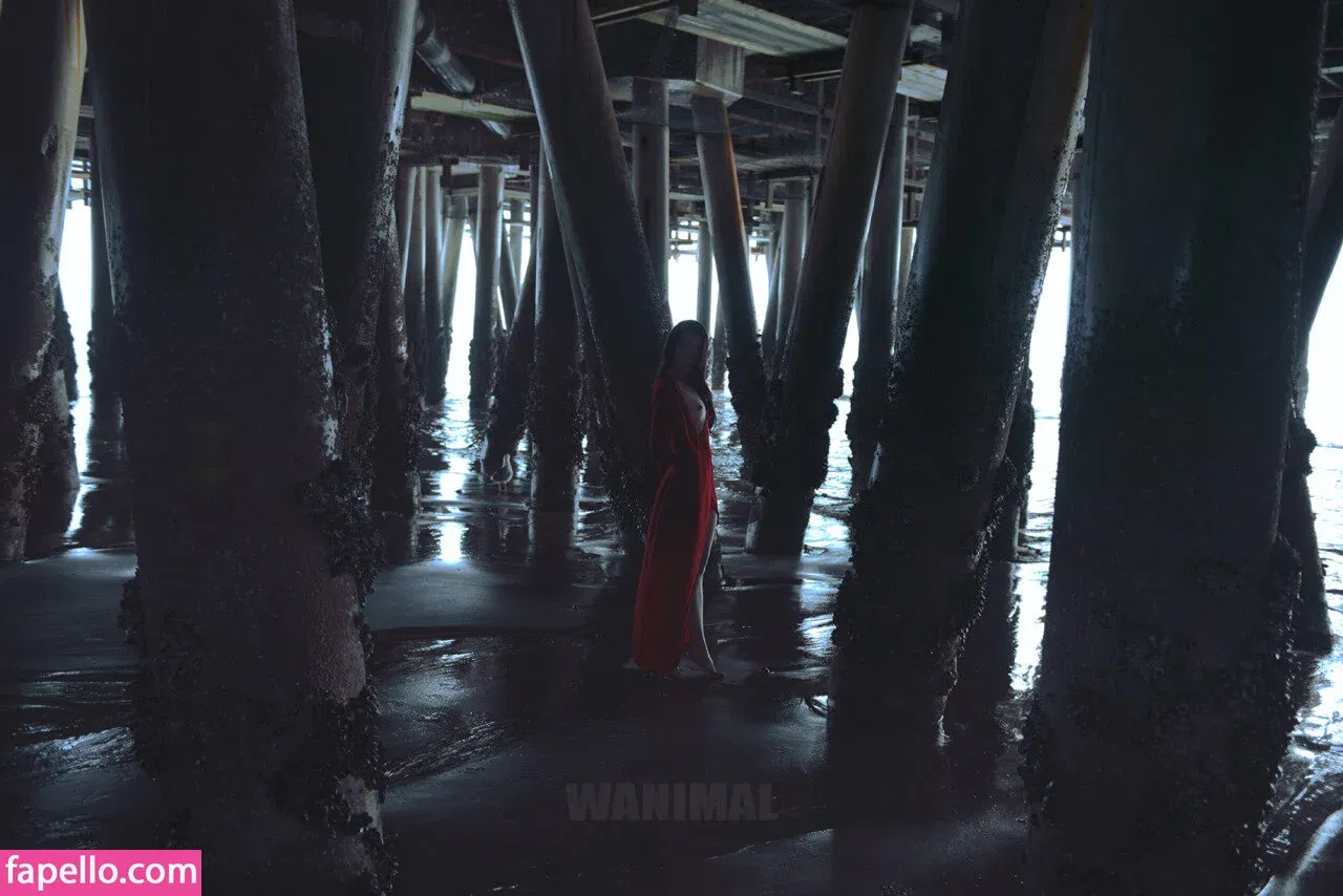 Wanimal Models Onlyfans Photo Gallery 