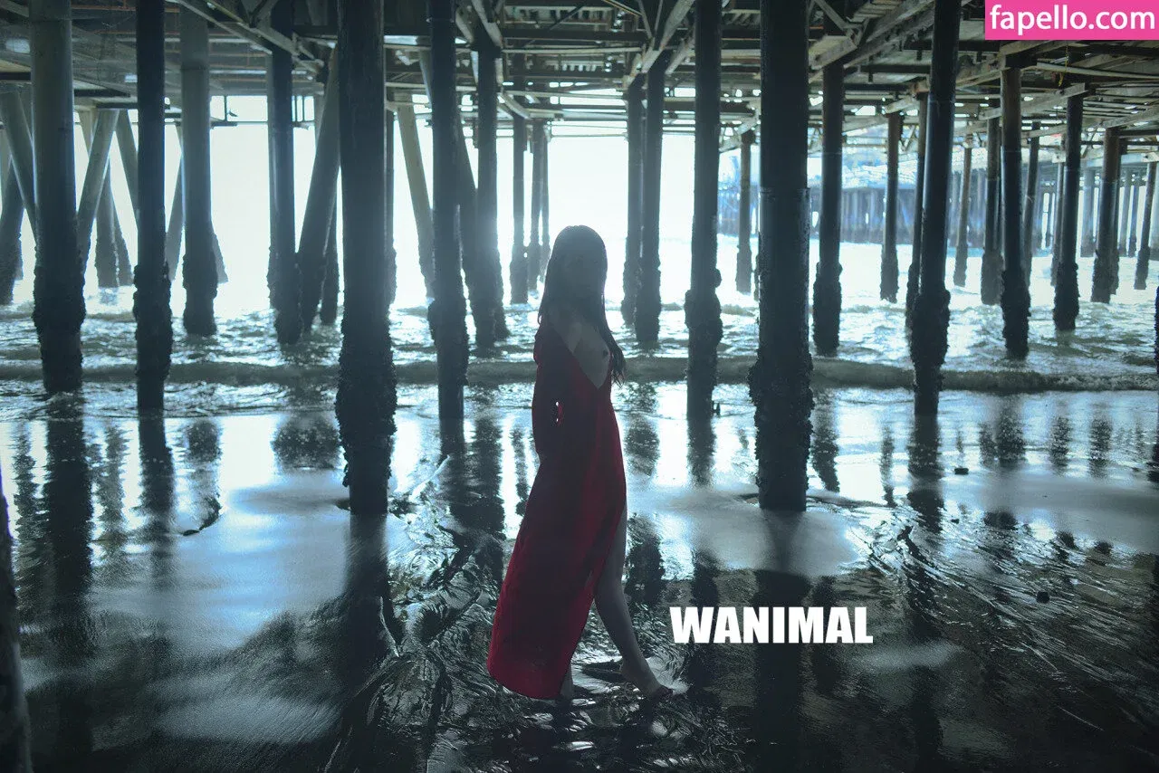 Wanimal Models Onlyfans Photo Gallery 