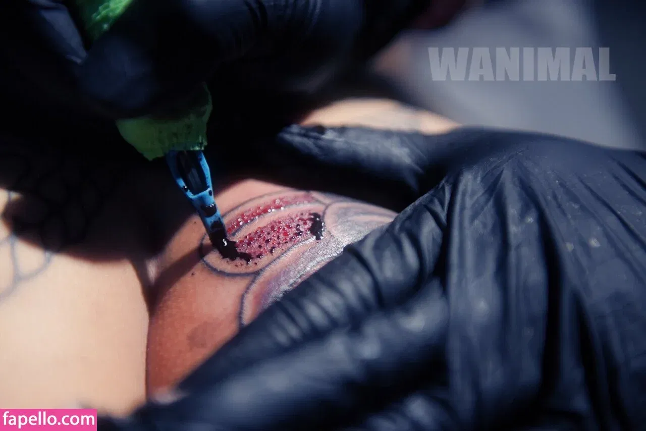 Wanimal Models Onlyfans Photo Gallery 