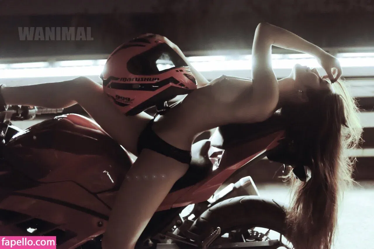 Wanimal Models Onlyfans Photo Gallery 