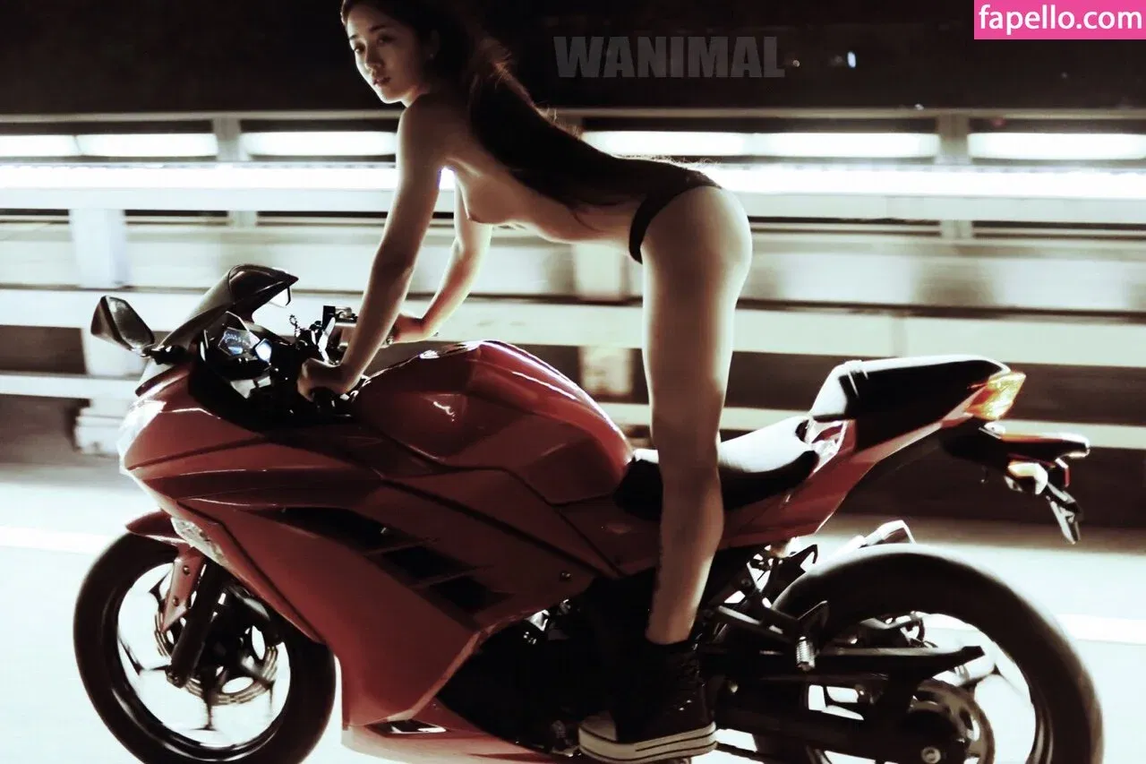 Wanimal Models Onlyfans Photo Gallery 