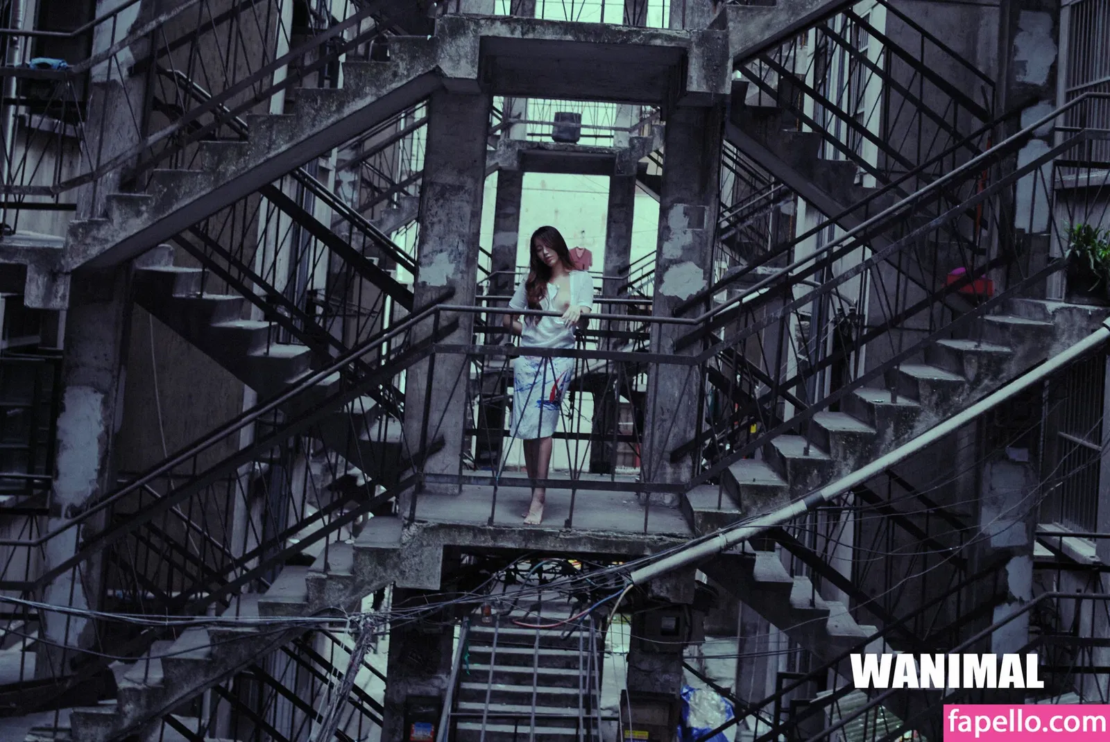 Wanimal Models Onlyfans Photo Gallery 