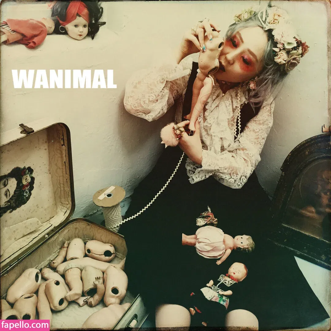 Wanimal Models Onlyfans Photo Gallery 