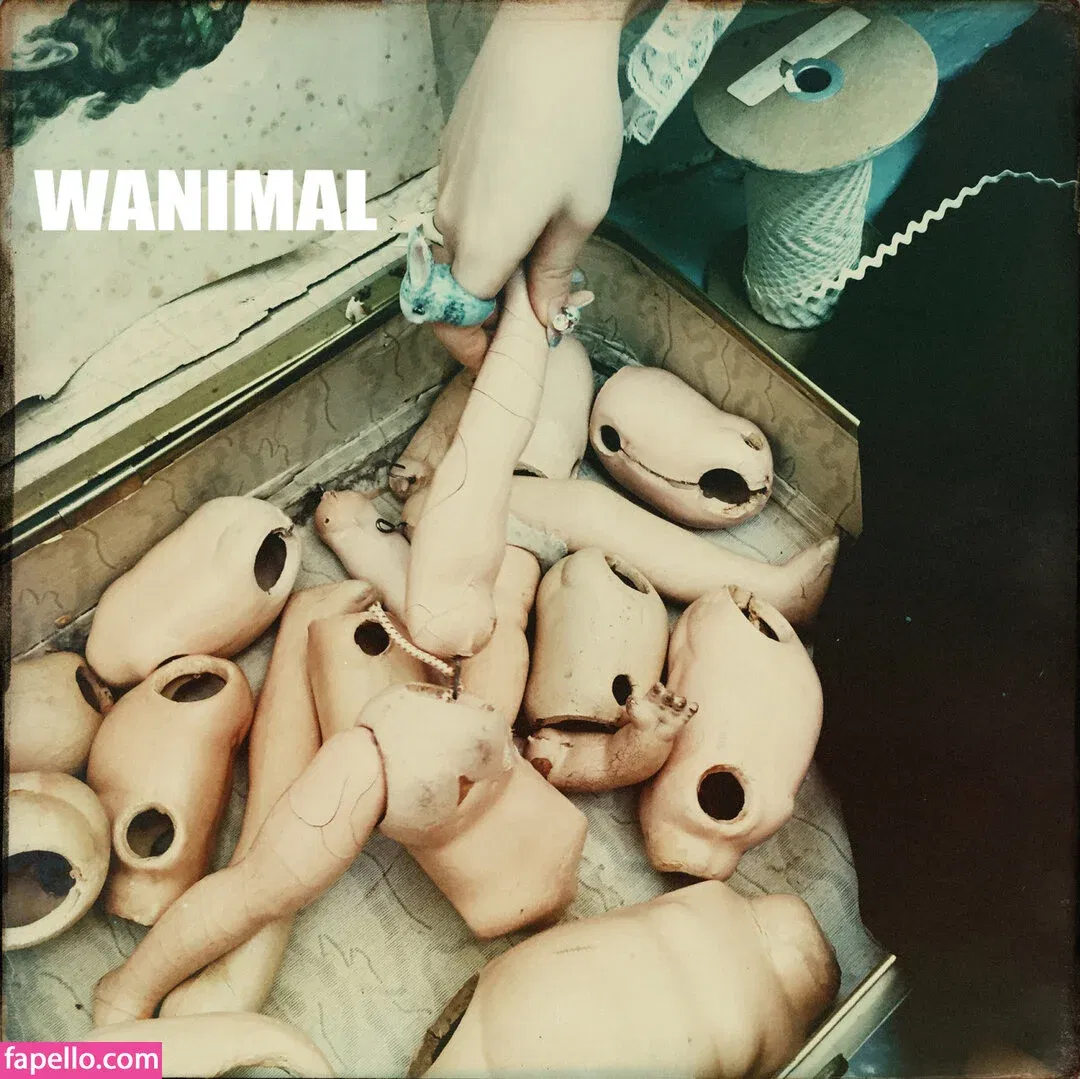 Wanimal Models Onlyfans Photo Gallery 