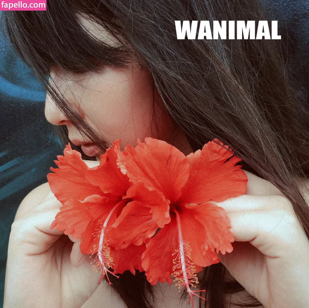 Wanimal Models Onlyfans Photo Gallery 