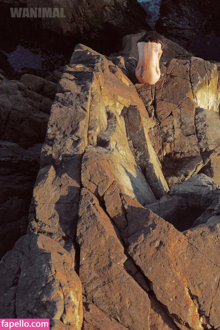 Wanimal Models Onlyfans Photo Gallery 