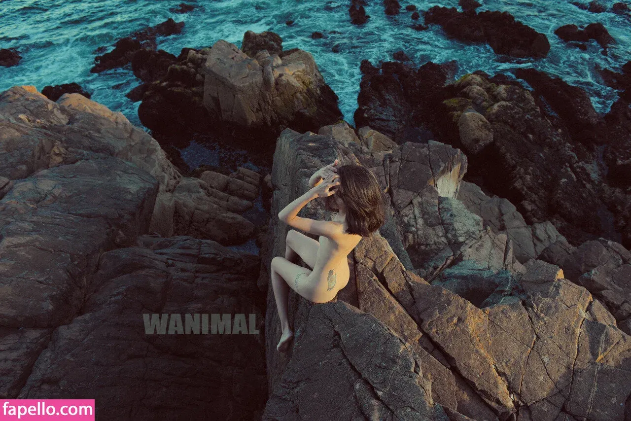 Wanimal Models Onlyfans Photo Gallery 