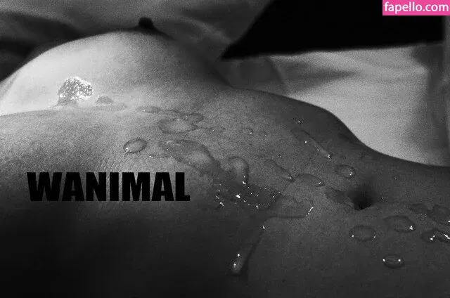 Wanimal Models Onlyfans Photo Gallery 