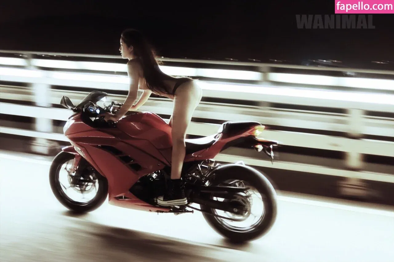 Wanimal Models Onlyfans Photo Gallery 