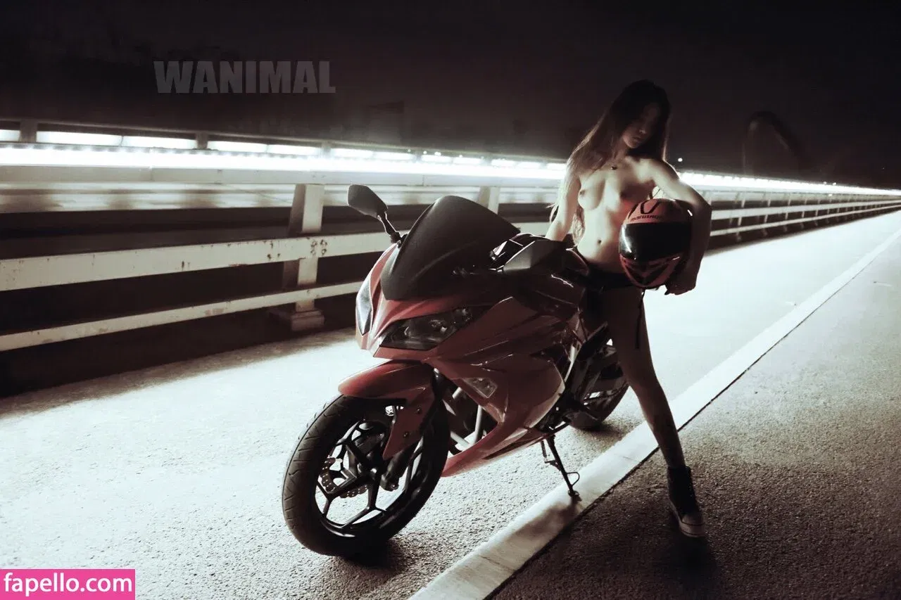 Wanimal Models Onlyfans Photo Gallery 