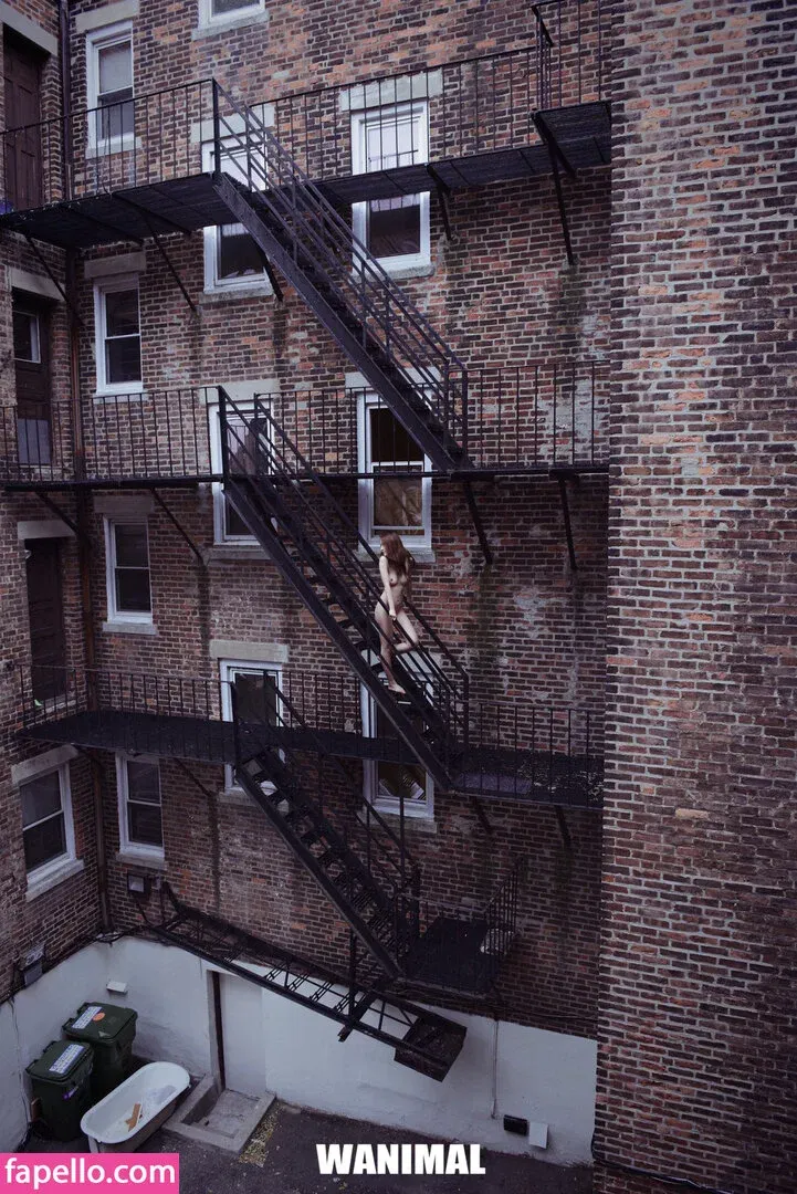 Wanimal Models Onlyfans Photo Gallery 