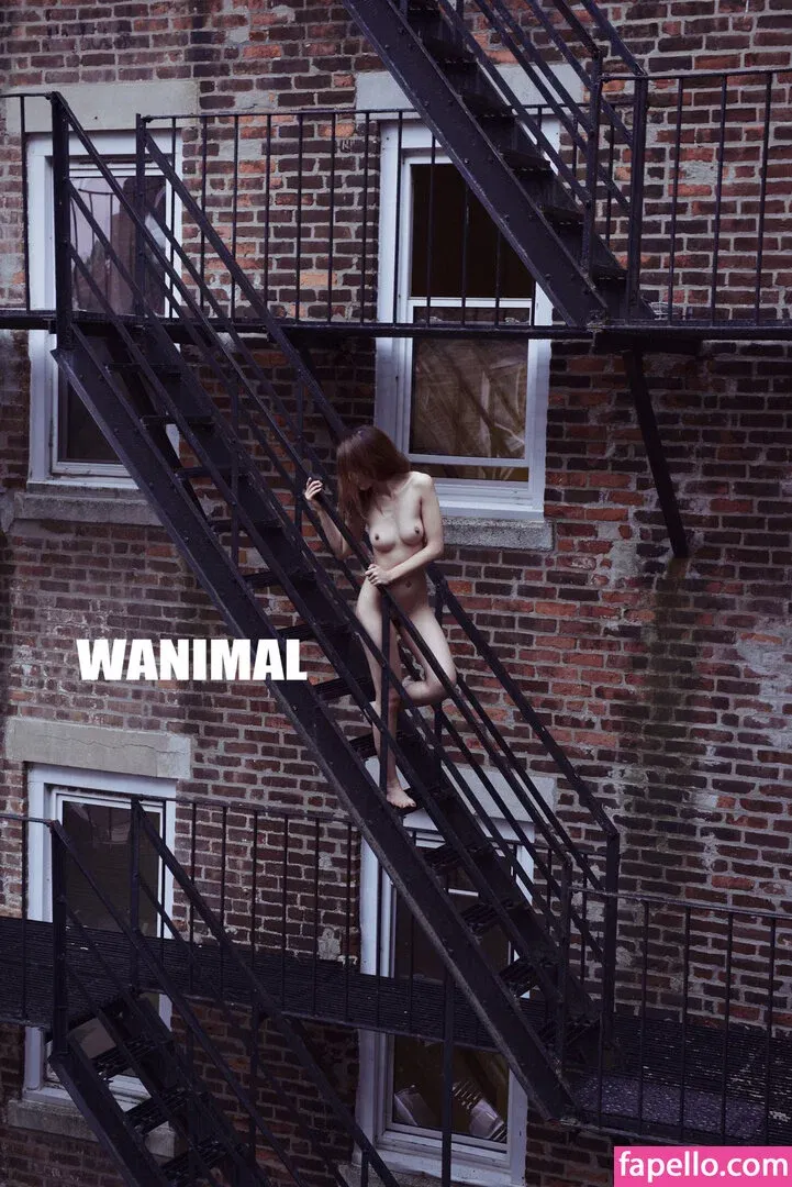 Wanimal Models Onlyfans Photo Gallery 