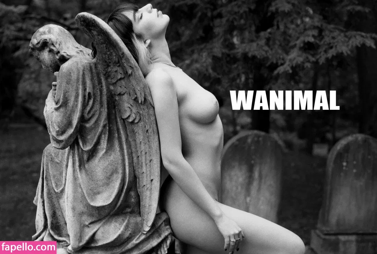 Wanimal Models Onlyfans Photo Gallery 