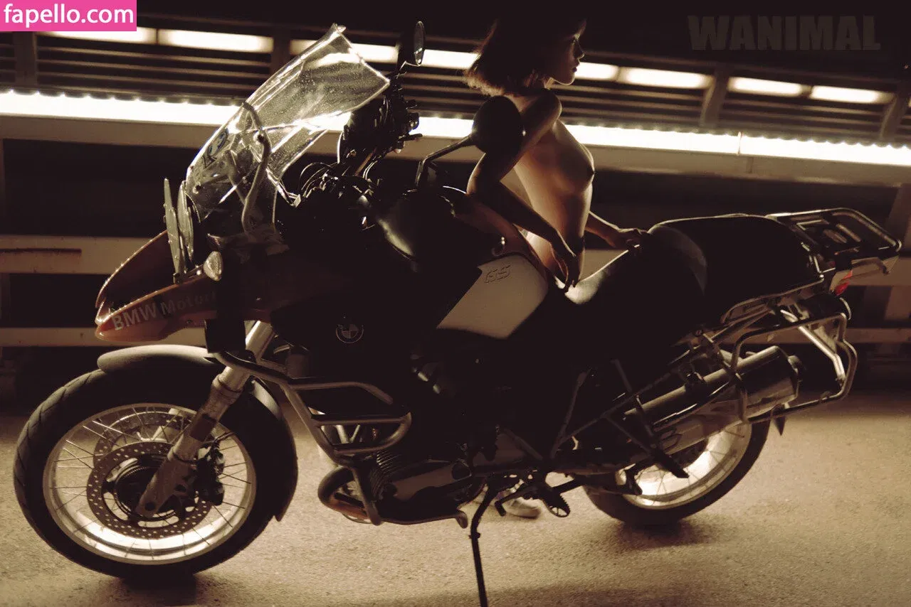 Wanimal Models Onlyfans Photo Gallery 