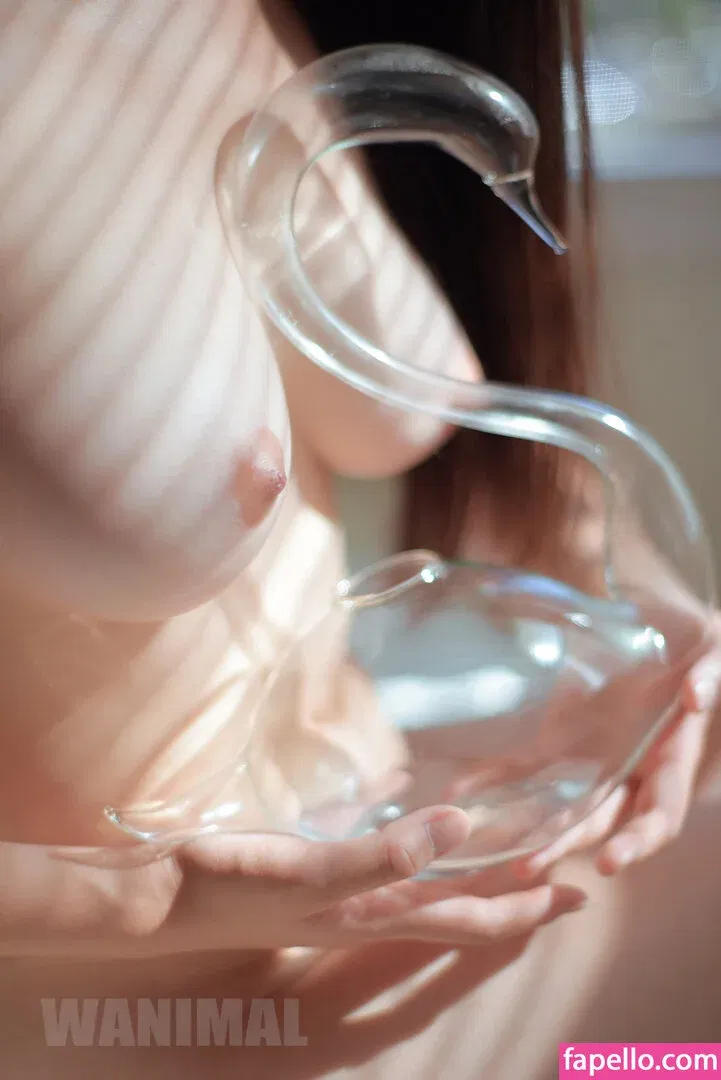 Wanimal Models Onlyfans Photo Gallery 