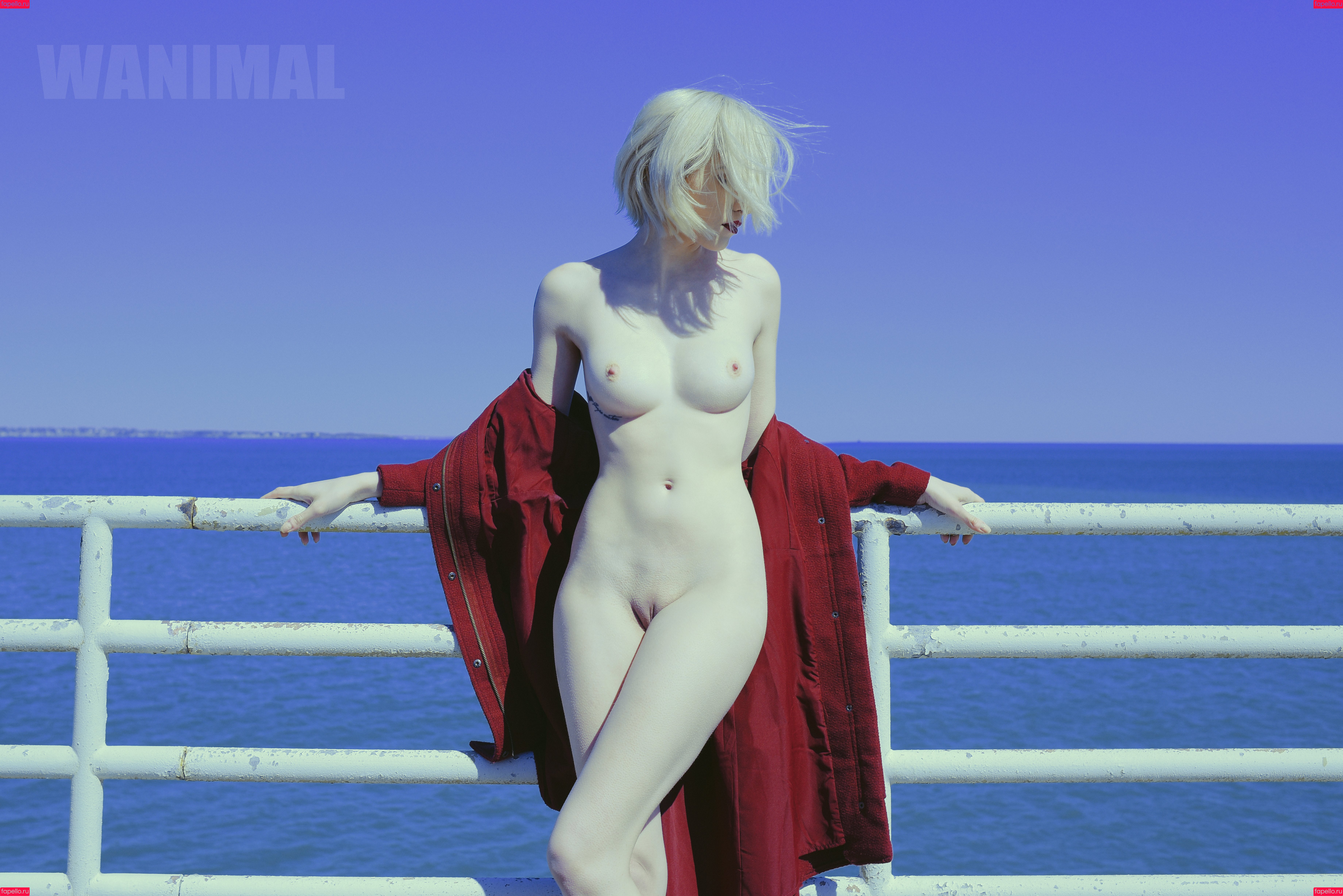 Wanimal Models Onlyfans Photo Gallery 