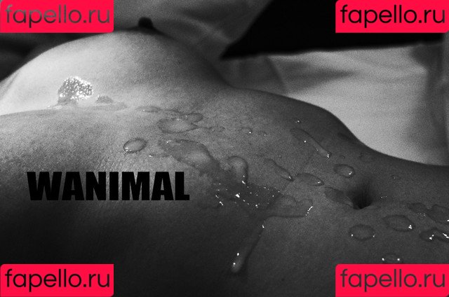 Wanimal Models Onlyfans Photo Gallery 