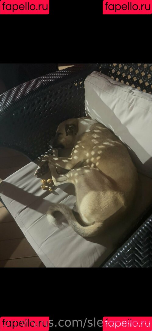 sleepychick11 Onlyfans Photo Gallery 