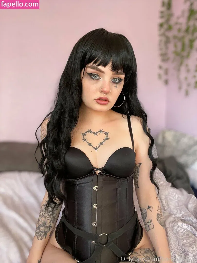 barbwirefree Onlyfans Photo Gallery 