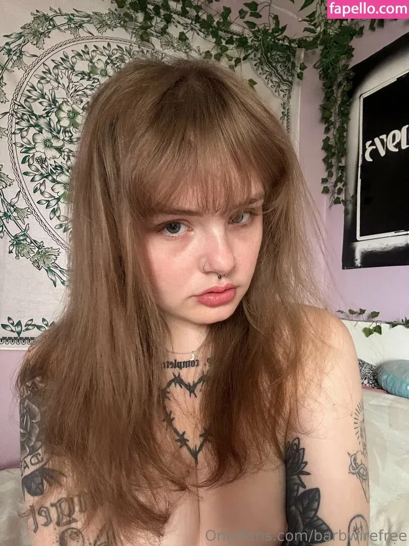 barbwirefree Onlyfans Photo Gallery 