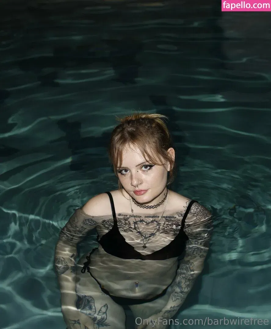 barbwirefree Onlyfans Photo Gallery 