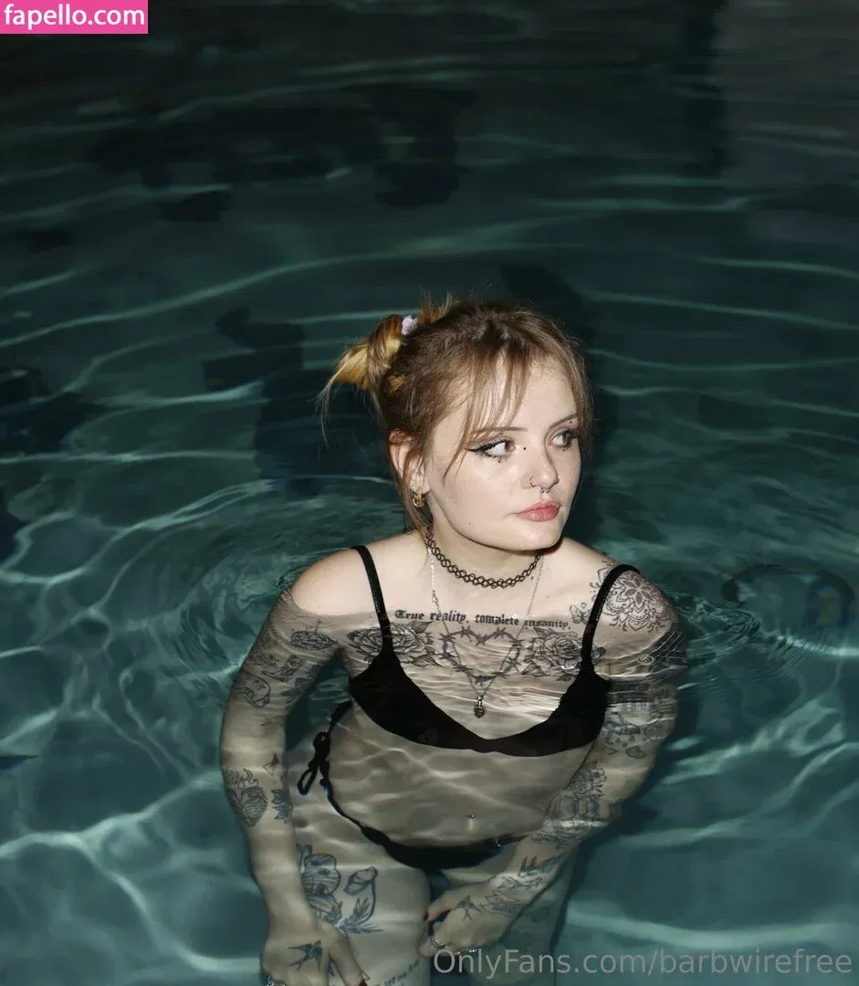 barbwirefree Onlyfans Photo Gallery 