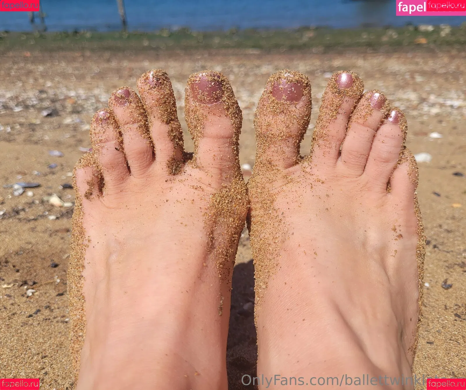 ballettwinkletoes Onlyfans Photo Gallery 
