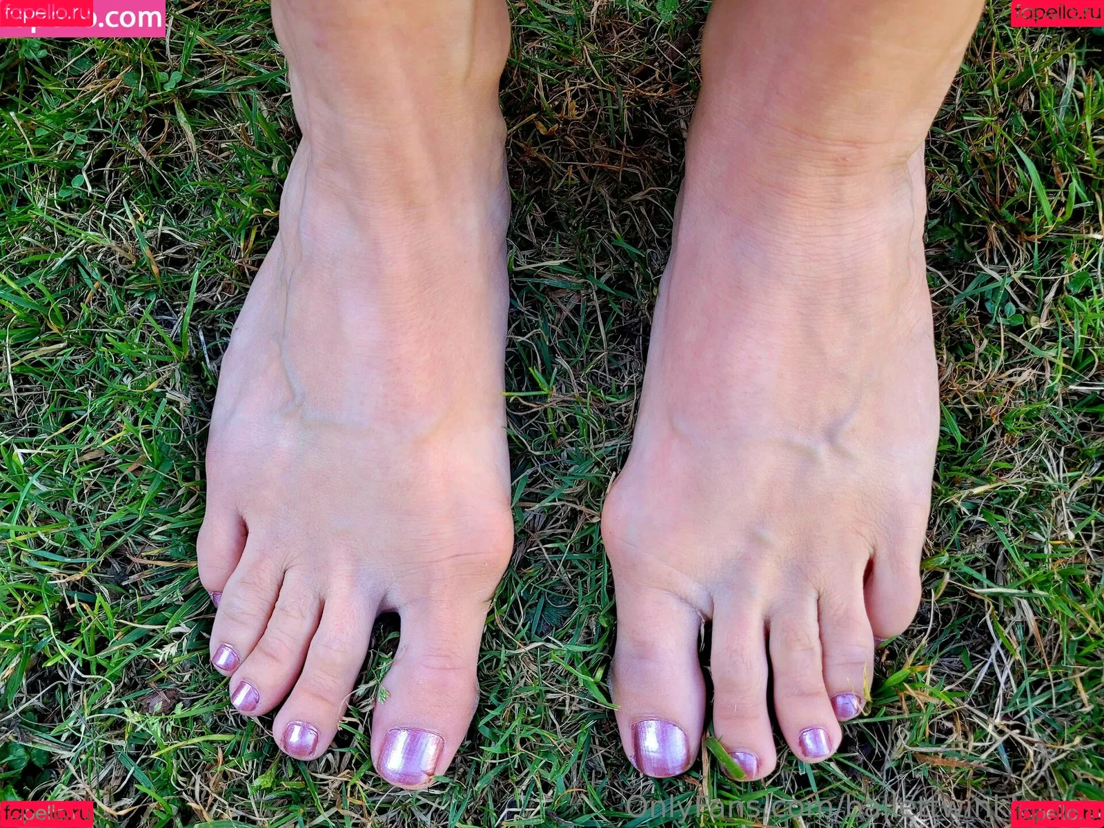 ballettwinkletoes Onlyfans Photo Gallery 