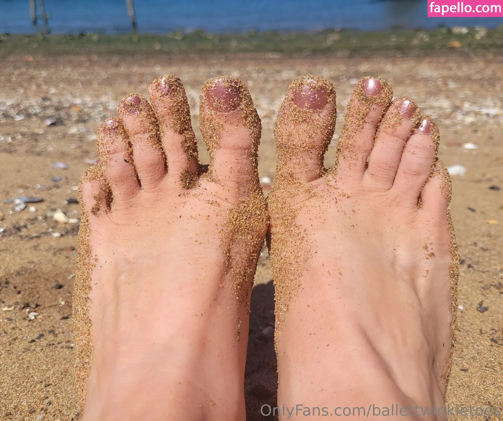 ballettwinkletoes Onlyfans Photo Gallery 