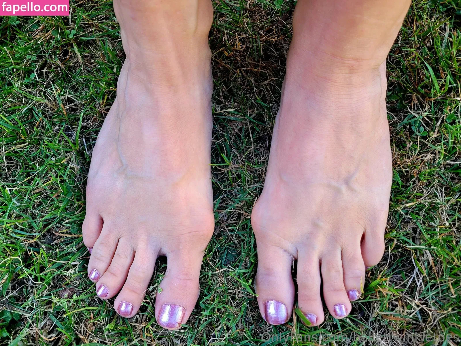 ballettwinkletoes Onlyfans Photo Gallery 