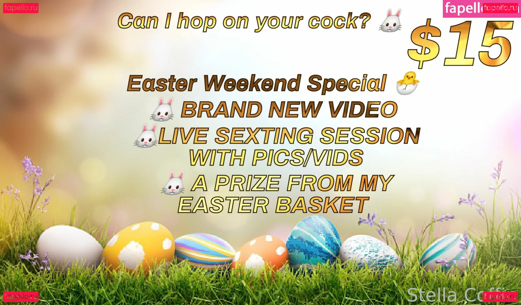 cockswanted Onlyfans Photo Gallery 