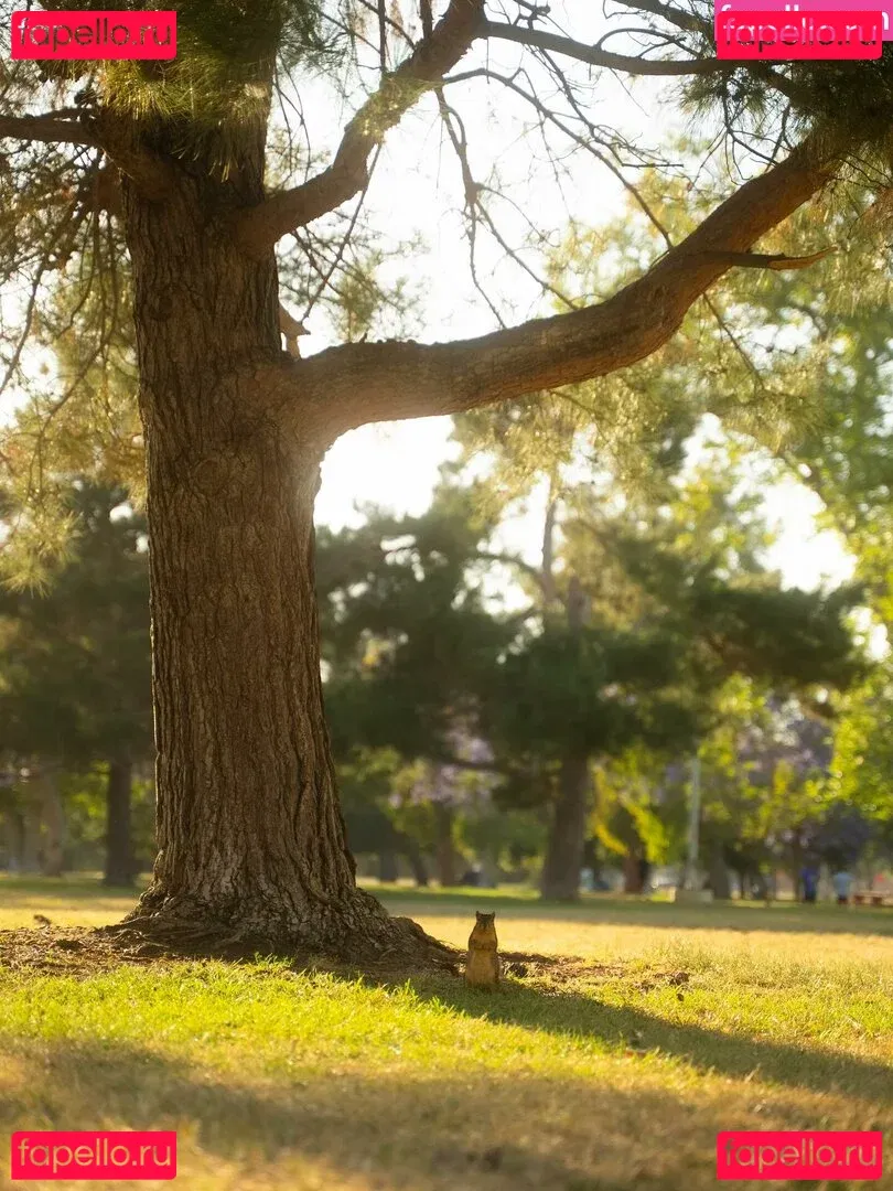 Chrisean Rock Onlyfans Photo Gallery 