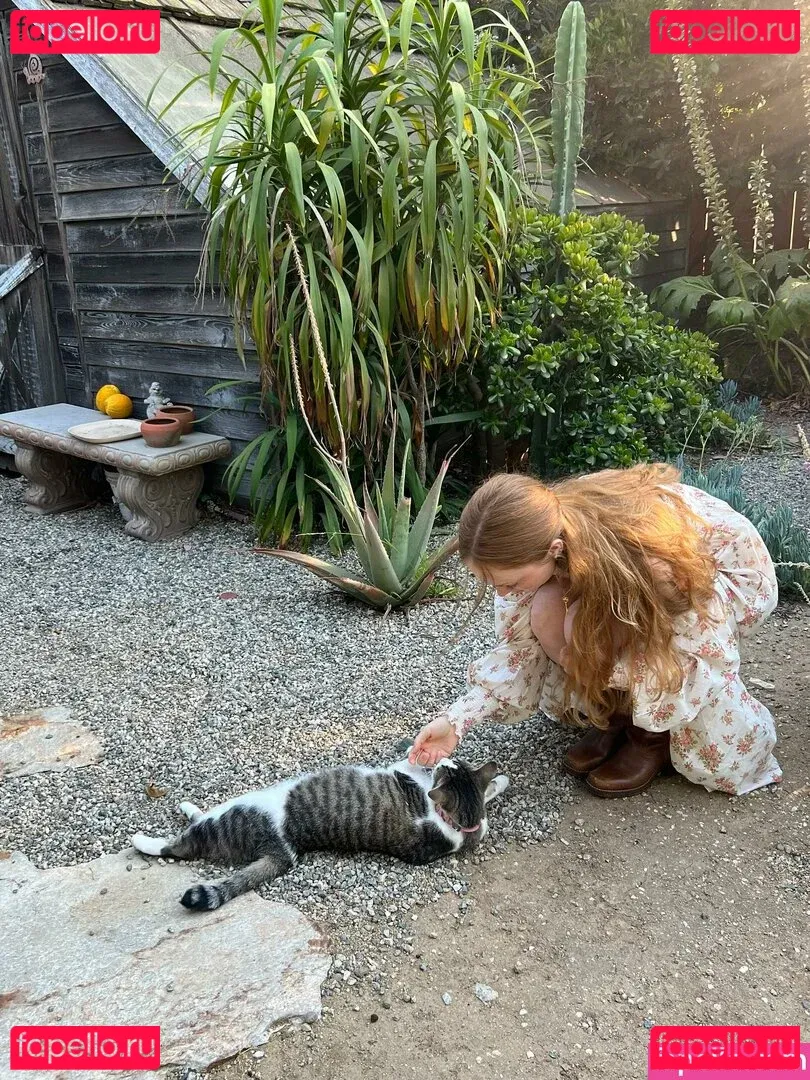 Chrisean Rock Onlyfans Photo Gallery 