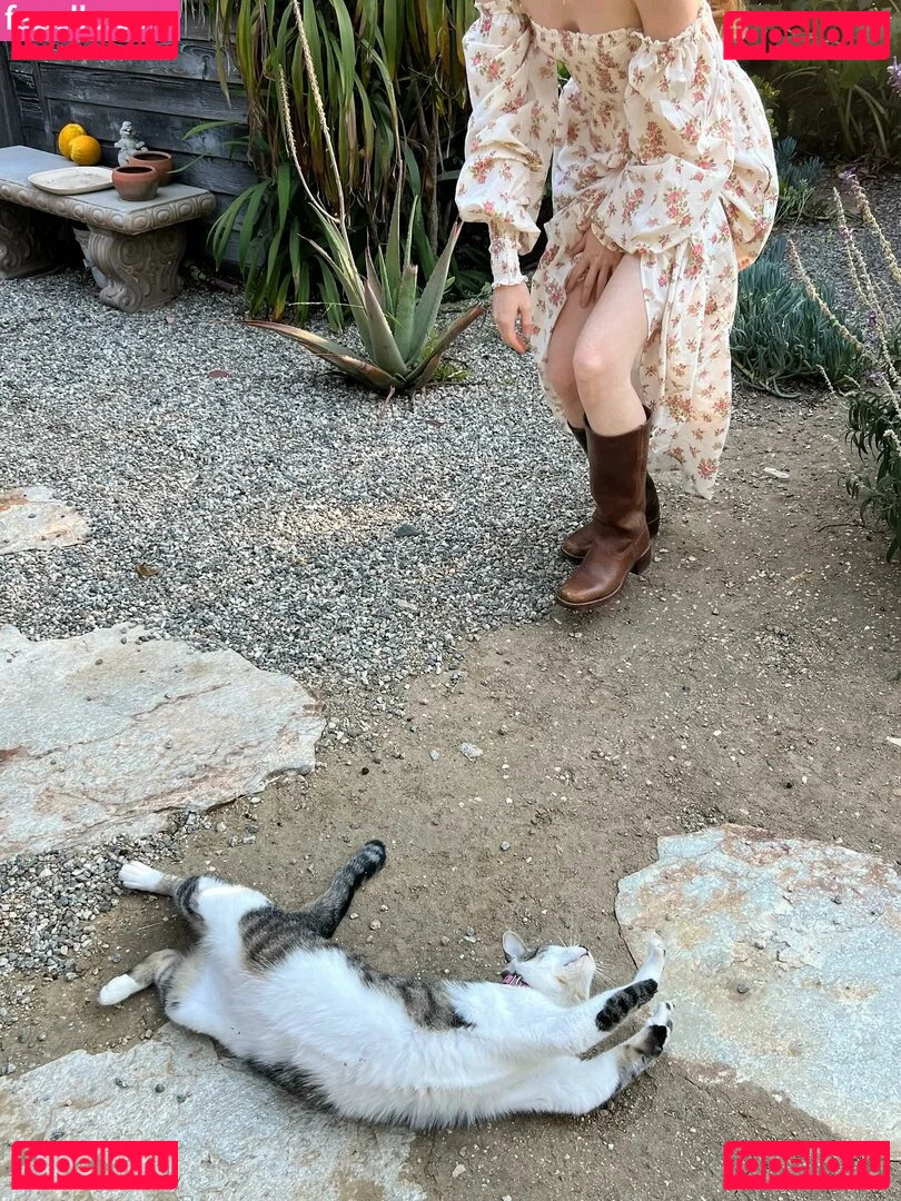 Chrisean Rock Onlyfans Photo Gallery 