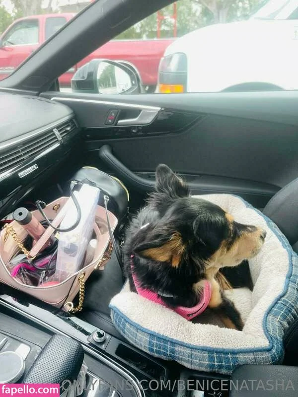 Natasha Nice Onlyfans Photo Gallery 