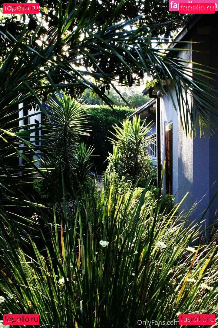 leaandbear Onlyfans Photo Gallery 