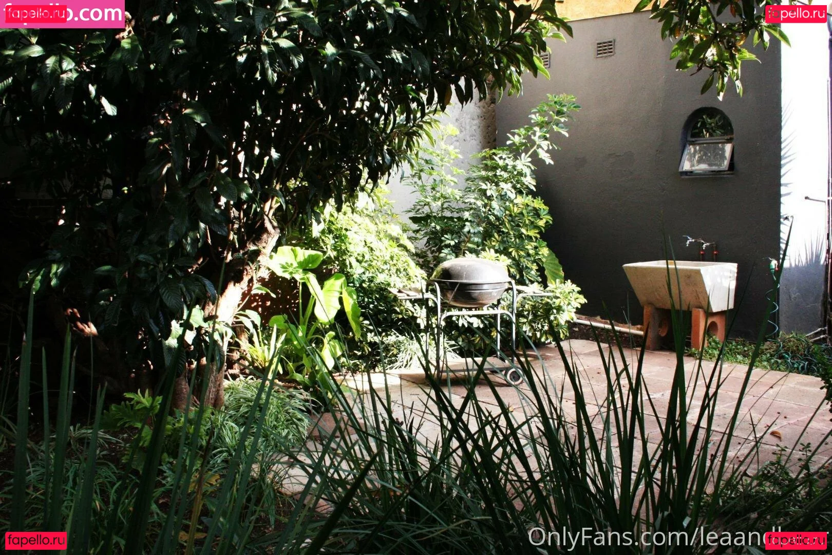 leaandbear Onlyfans Photo Gallery 