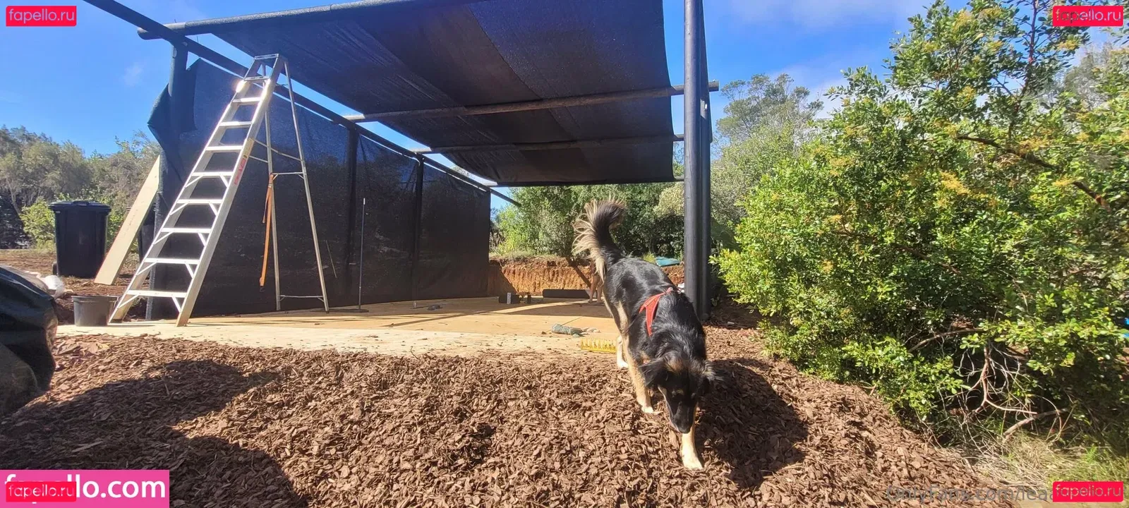 leaandbear Onlyfans Photo Gallery 