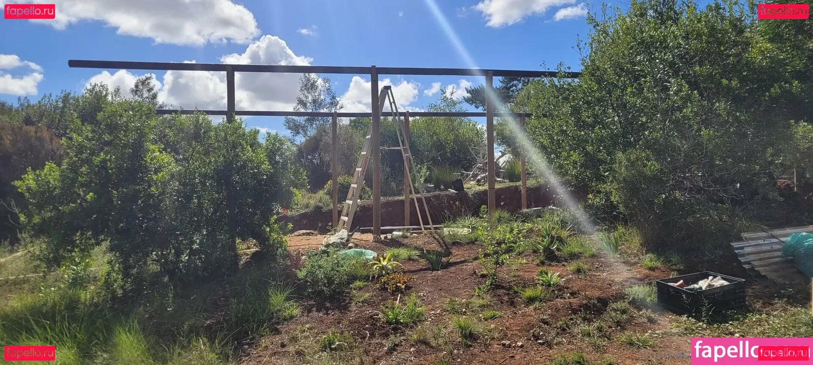 leaandbear Onlyfans Photo Gallery 