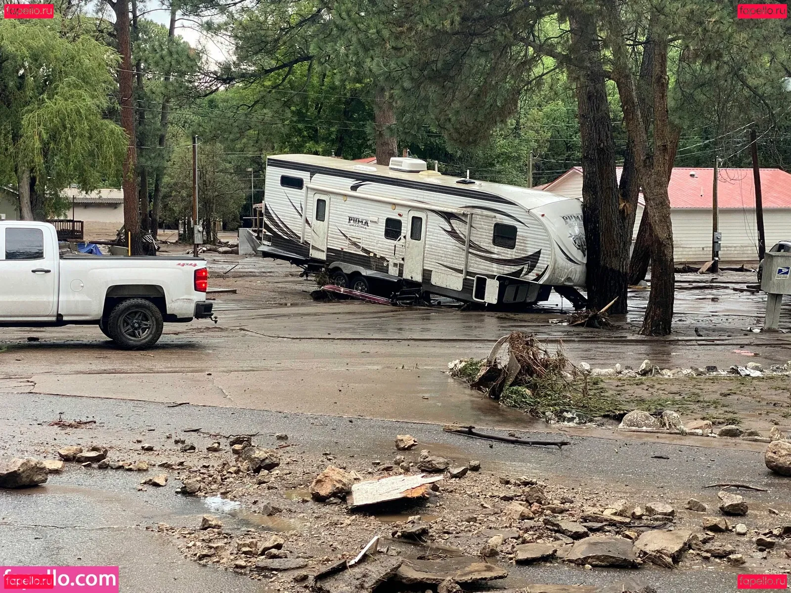 Sara Sfamurri Onlyfans Photo Gallery 