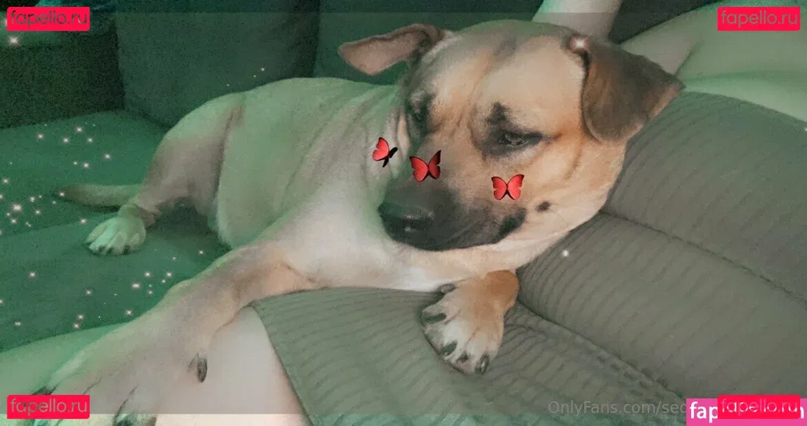 brattyprincess25 Onlyfans Photo Gallery 