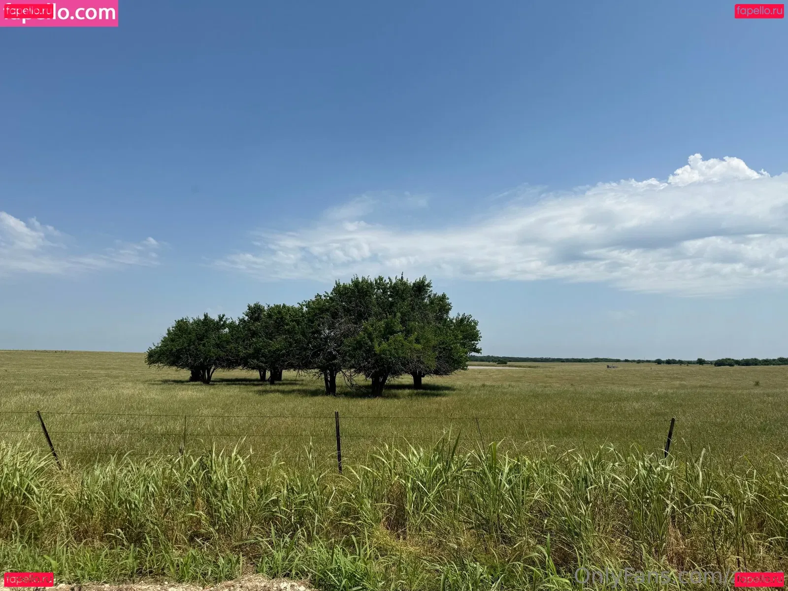 zipos Onlyfans Photo Gallery 