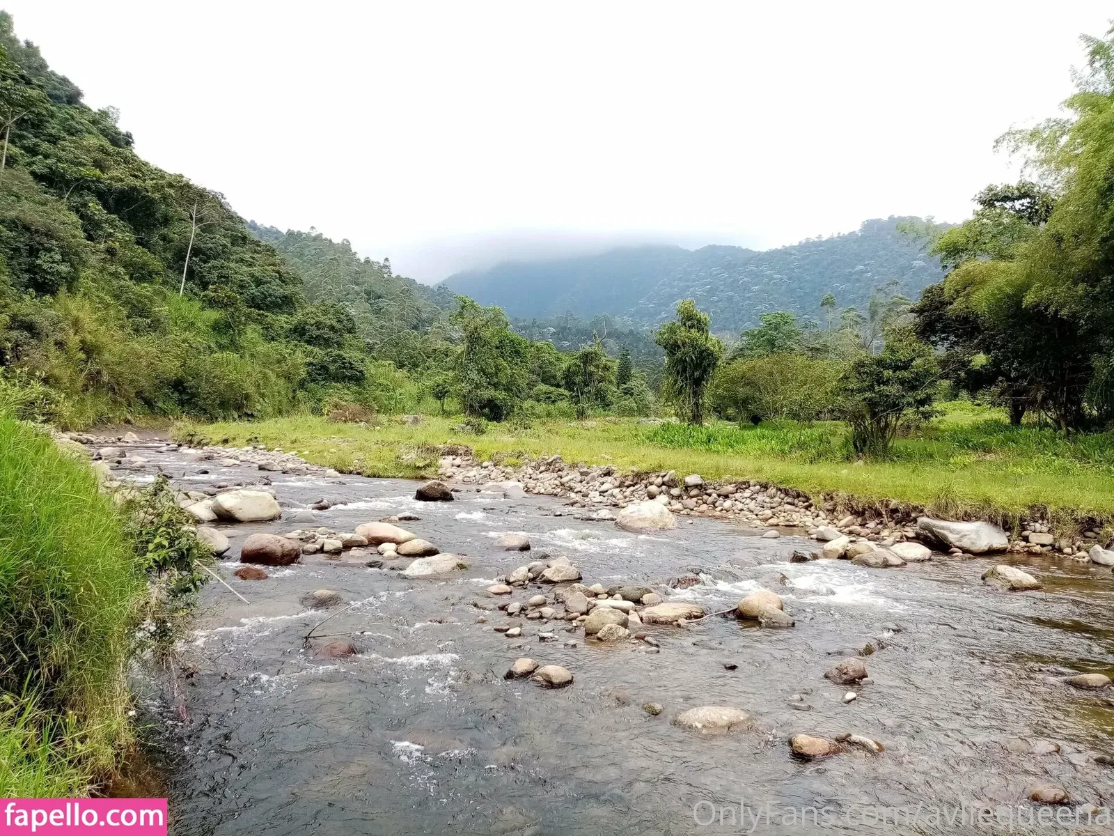 avliequeena Onlyfans Photo Gallery 