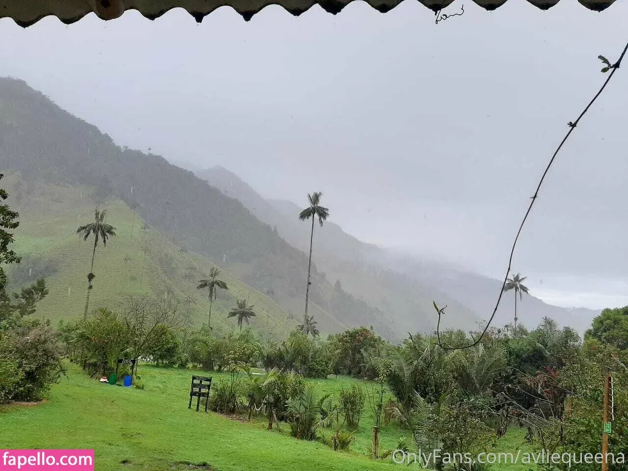 avliequeena Onlyfans Photo Gallery 