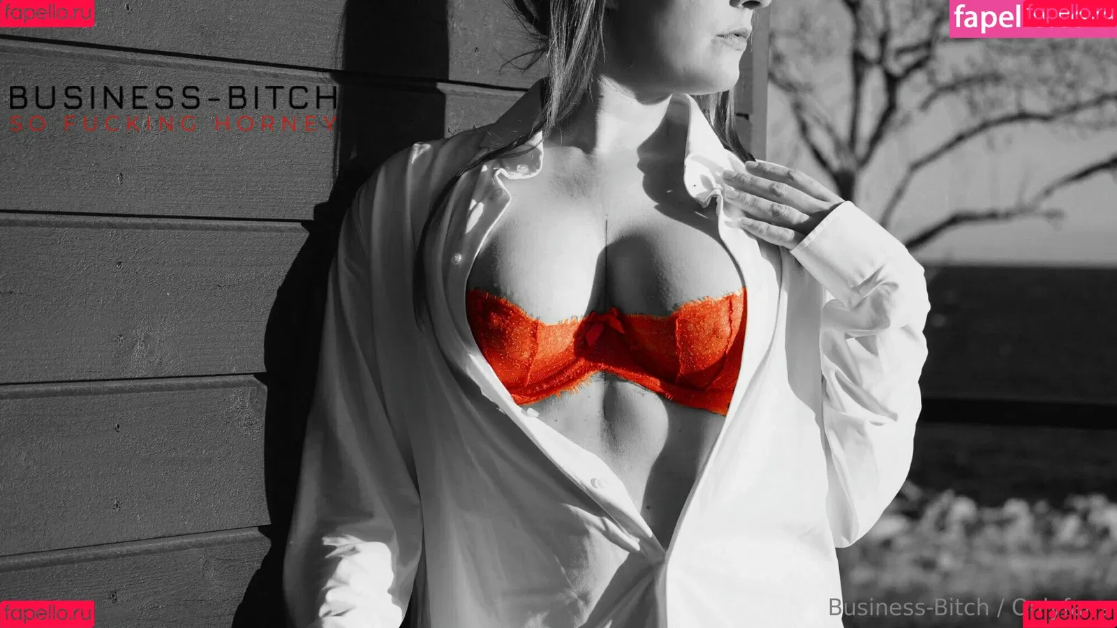 businessbitch2020 Onlyfans Photo Gallery 