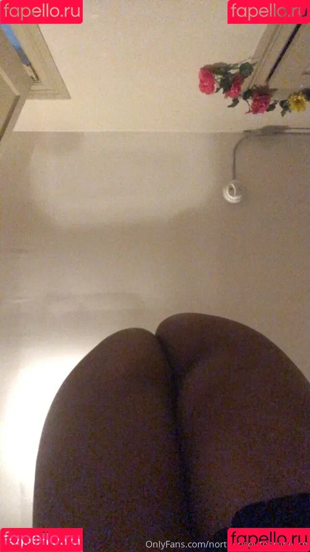 northernsouthernpeach Onlyfans Photo Gallery 