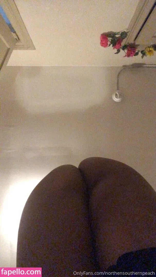 northernsouthernpeach Onlyfans Photo Gallery 