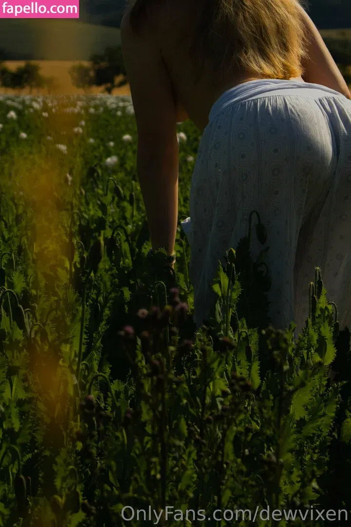 dewvixen Onlyfans Photo Gallery 